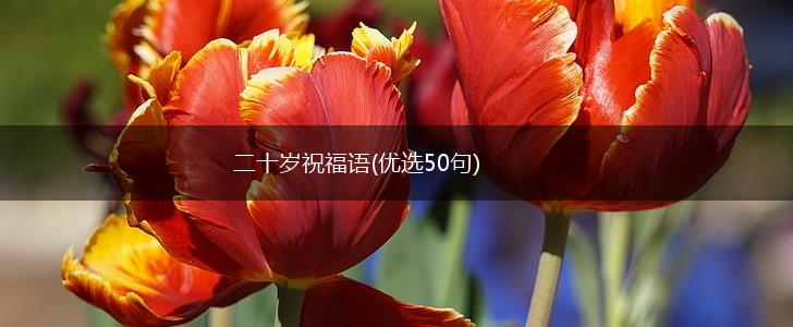 二十岁祝福语(优选50句),第1张
