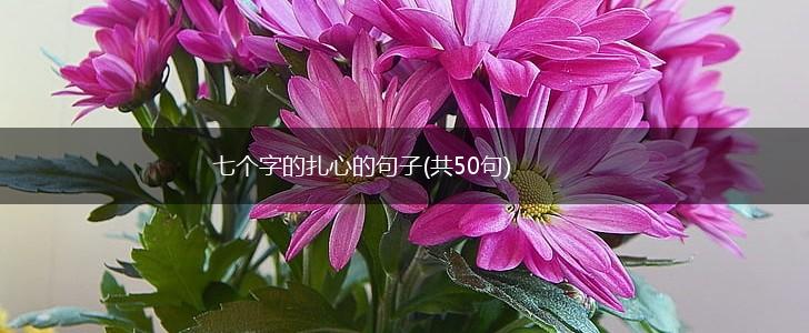 七个字的扎心的句子(共50句),第1张