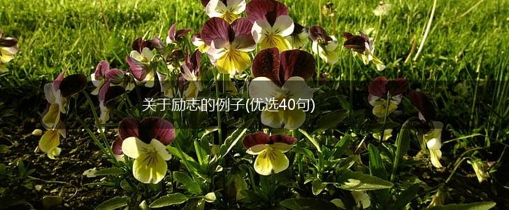 关于励志的例子(优选40句),第1张