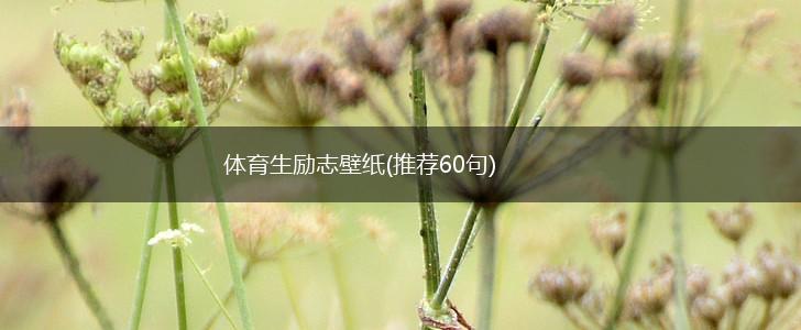 体育生励志壁纸(推荐60句),第1张