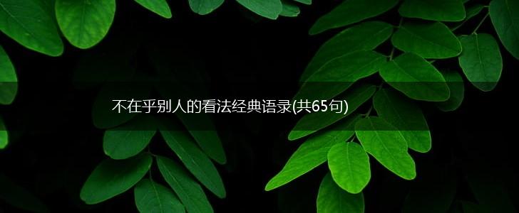不在乎别人的看法经典语录(共65句),第1张
