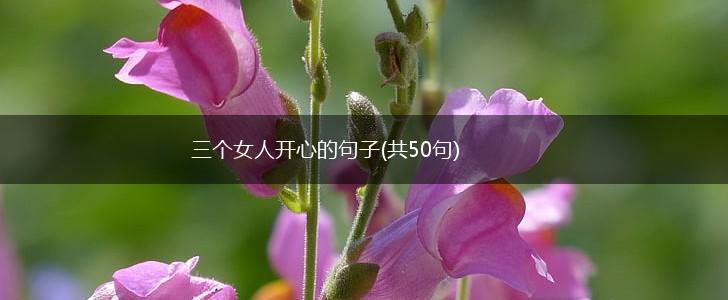 三个女人开心的句子(共50句),第1张