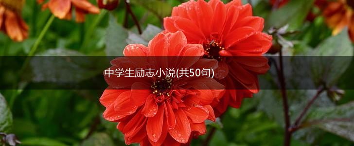 中学生励志小说(共50句),第1张