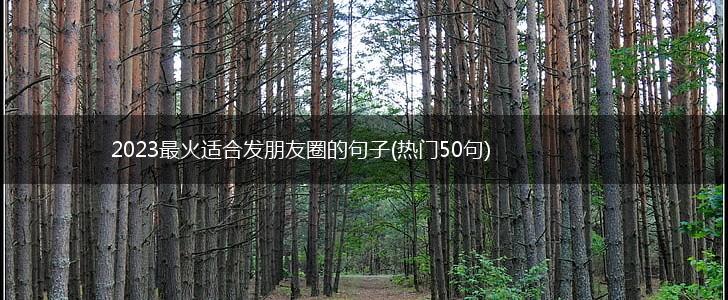 2023最火适合发朋友圈的句子(热门50句),第1张