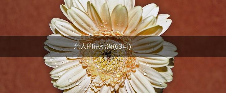 亲人的祝福语(63句),第1张