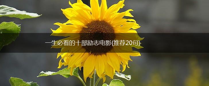 一生必看的十部励志电影(推荐20句),第1张