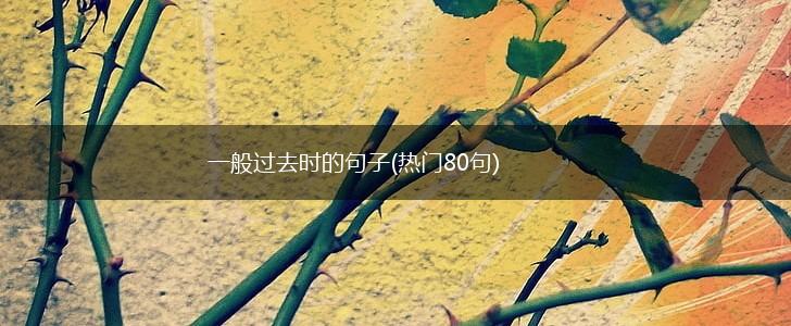 一般过去时的句子(热门80句),第1张