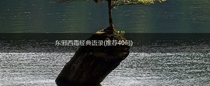 东邪西毒经典语录(推荐40句),第1张