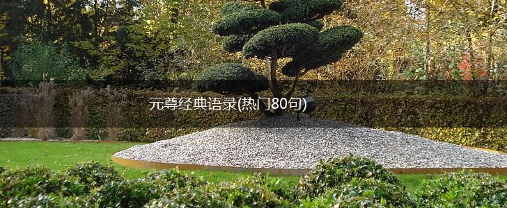 元尊经典语录(热门80句),第1张