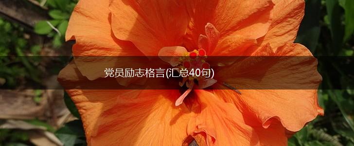 党员励志格言(汇总40句),第1张