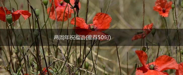 两周年祝福语(推荐50句),第1张