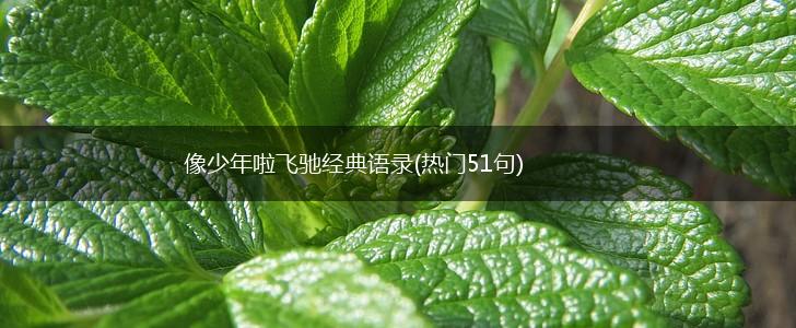 像少年啦飞驰经典语录(热门51句),第1张