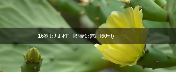 16岁女儿的生日祝福语(热门60句),第1张