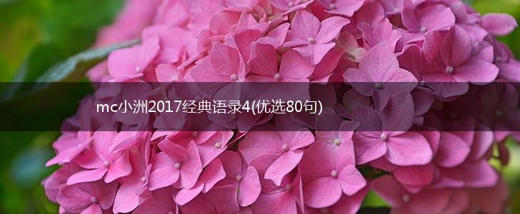mc小洲2017经典语录4(优选80句),第1张