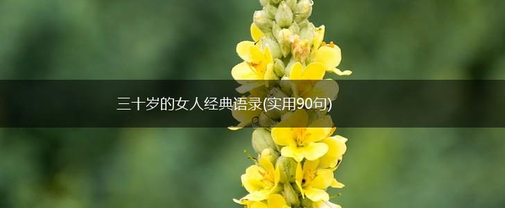 三十岁的女人经典语录(实用90句),第1张