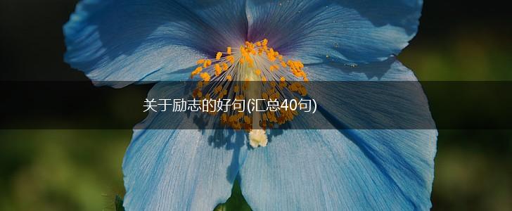 关于励志的好句(汇总40句),第1张