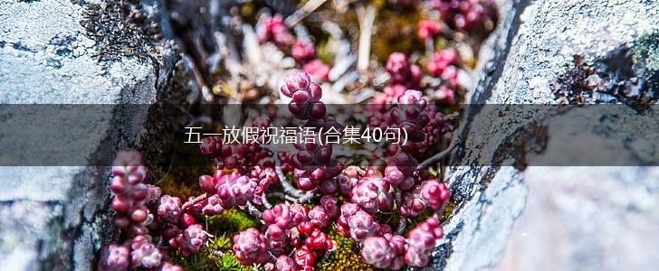 五一放假祝福语(合集40句),第1张