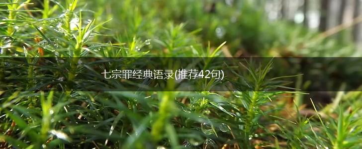 七宗罪经典语录(推荐42句),第1张
