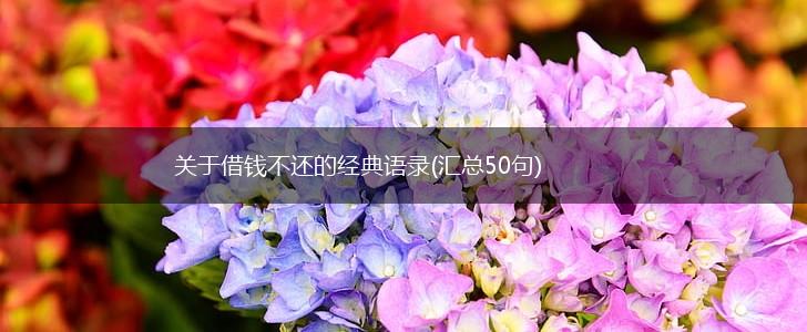 关于借钱不还的经典语录(汇总50句),第1张