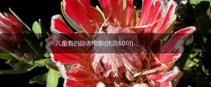 儿童看的励志电影(优选60句),第1张