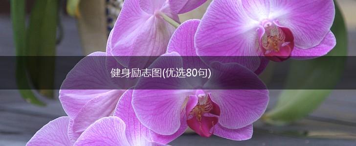 健身励志图(优选80句),第1张