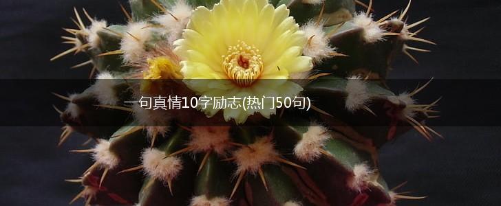 一句真情10字励志(热门50句),第1张