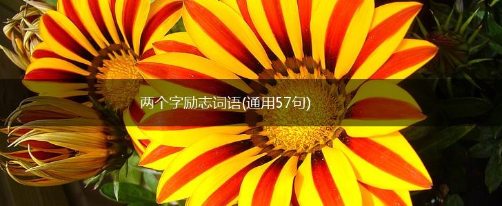 两个字励志词语(通用57句),第1张