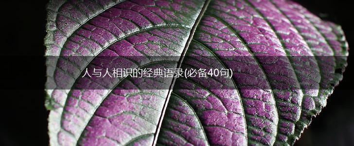 人与人相识的经典语录(必备40句),第1张