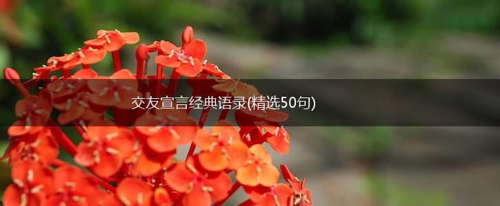 交友宣言经典语录(精选50句),第1张