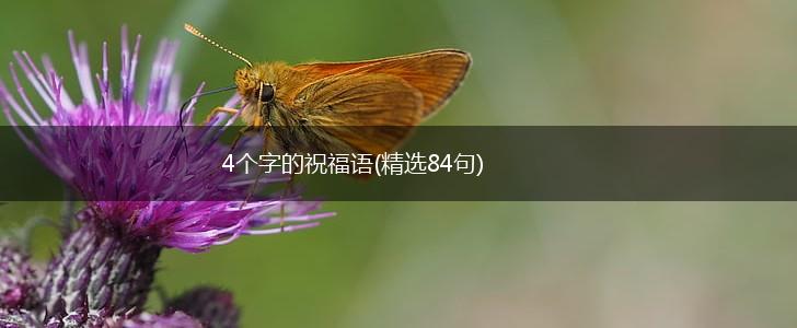 4个字的祝福语(精选84句),第1张