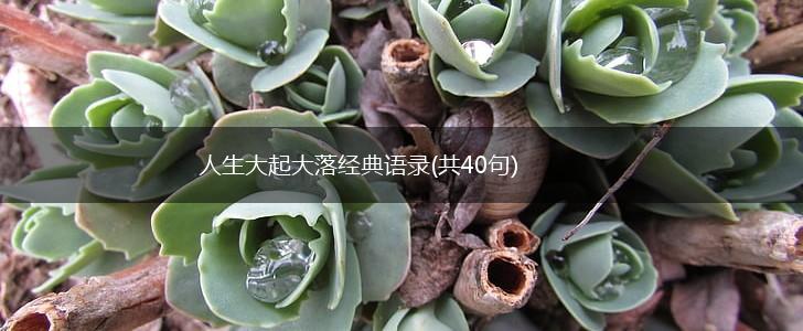 人生大起大落经典语录(共40句),第1张