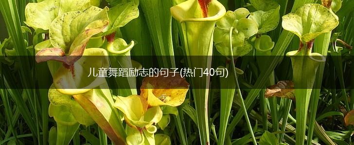 儿童舞蹈励志的句子(热门40句),第1张