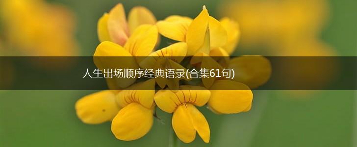 人生出场顺序经典语录(合集61句),第1张