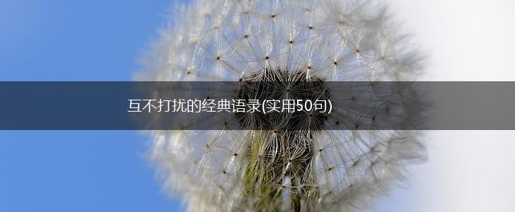互不打扰的经典语录(实用50句),第1张