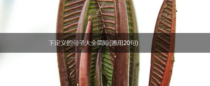 下定义的句子大全简短(通用20句),第1张
