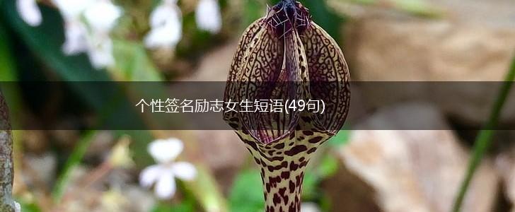 个性签名励志女生短语(49句),第1张