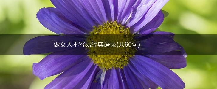 做女人不容易经典语录(共60句),第1张