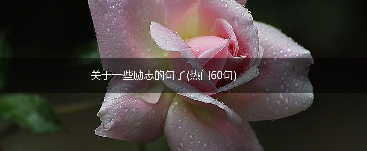 关于一些励志的句子(热门60句),第1张