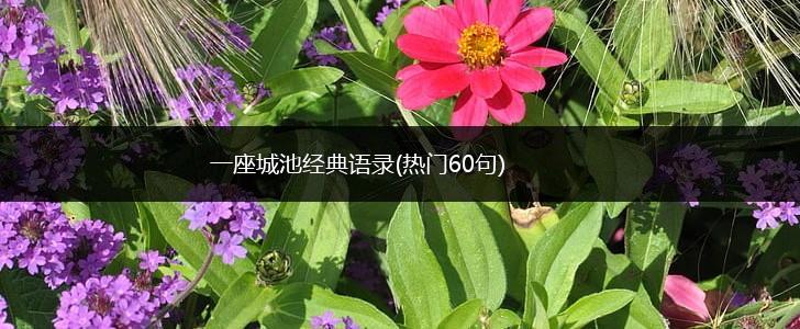 一座城池经典语录(热门60句),第1张