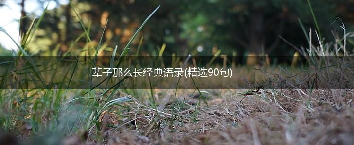 一辈子那么长经典语录(精选90句),第1张