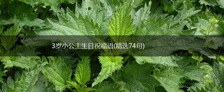 3岁小公主生日祝福语(精选74句),第1张