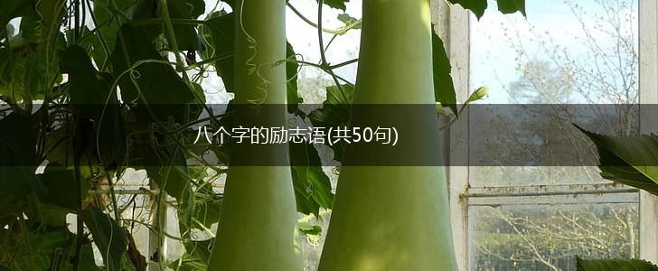 八个字的励志语(共50句),第1张