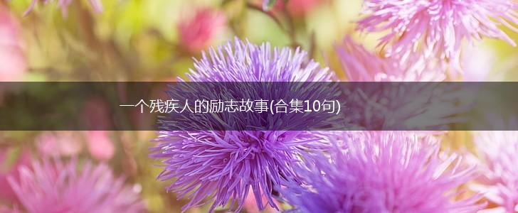 一个残疾人的励志故事(合集10句),第1张
