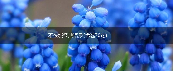 不夜城经典语录(优选70句),第1张
