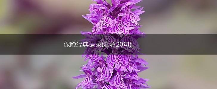 保险经典语录(汇总20句),第1张