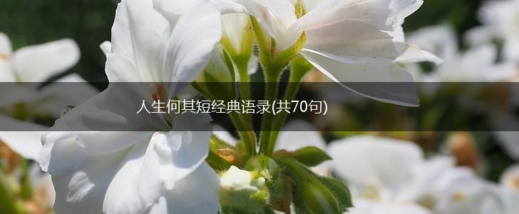 人生何其短经典语录(共70句),第1张