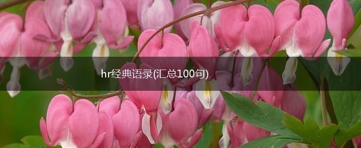 hr经典语录(汇总100句),第1张