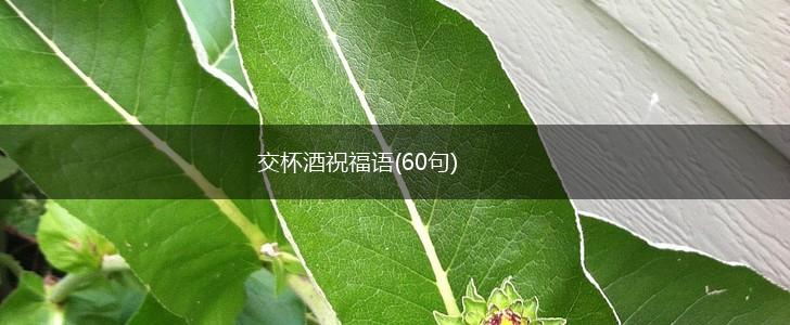 交杯酒祝福语(60句),第1张