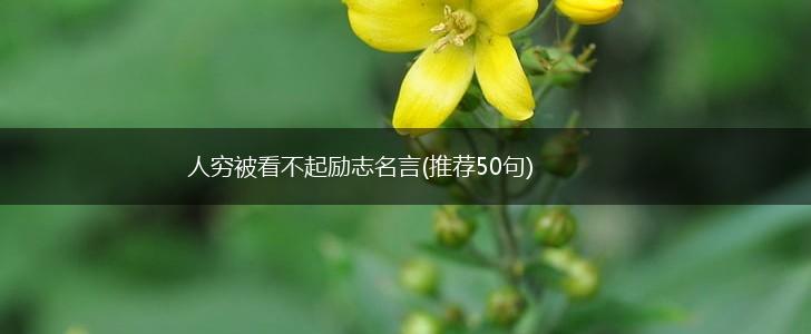 人穷被看不起励志名言(推荐50句),第1张