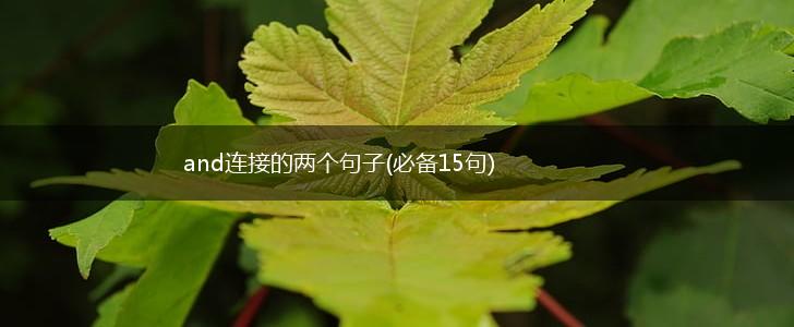 and连接的两个句子(必备15句),第1张